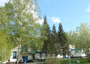 %D1%81%D0%B0%D0%B4 %D1%81%D0%B0%D0%B9%D1%82 детский сад 5 алейск телефон